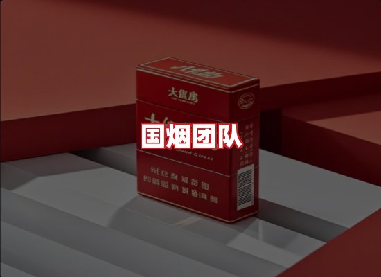 国烟团队